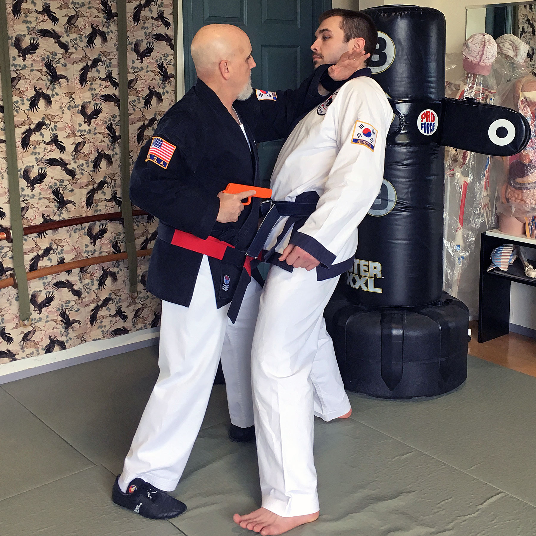 Self-Survival Seminar for Professionals